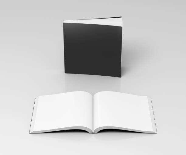 istock Blank soft cover books opened and standing 810287362