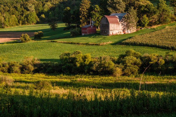 istock Farm in the Valley 810288122