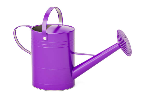 istock Purple watering can, 3D rendering isolated on white background 810297582