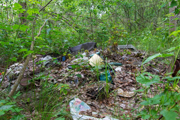 istock Garbage dump in forest. Environmental issue, pollution of the surrounding nature. 810297968