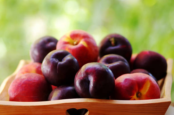 plums and peaches - nectarine peach red market imagens e fotografias de stock