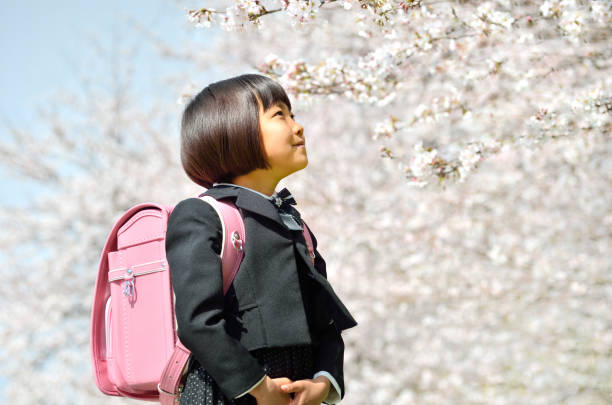 New First Grade Girl (Cherry Blossoms) New first grade girl (cherry blossoms) randoseru stock pictures, royalty-free photos & images