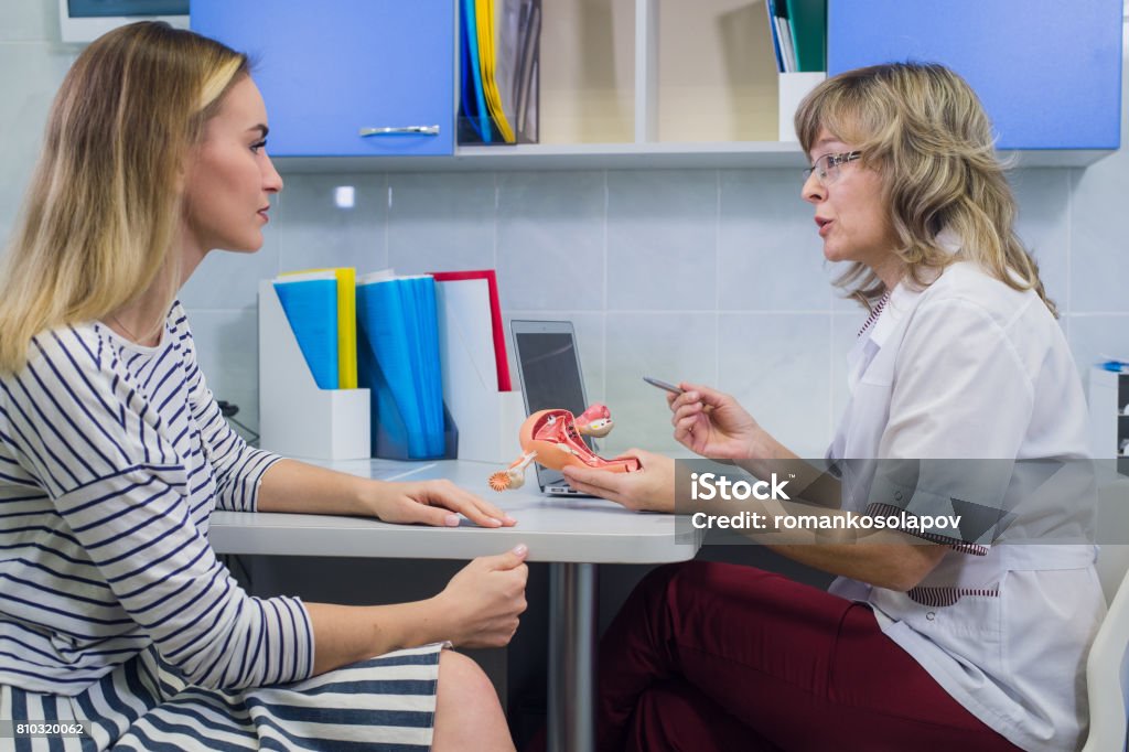 Female doctor gynecologist with patient at her office Female doctor gynecologist with patient at her office. Gynecologist Stock Photo