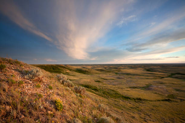 grasland nationalpark saskatchewan kanada - saskatchewan stock-fotos und bilder