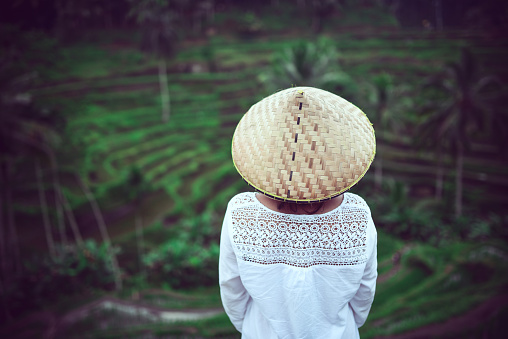 Asiática mujer con sombrero de paja tradicional en campos de arroz photo