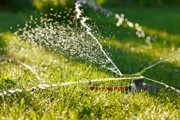 istock Irrigation of green grass 810350272