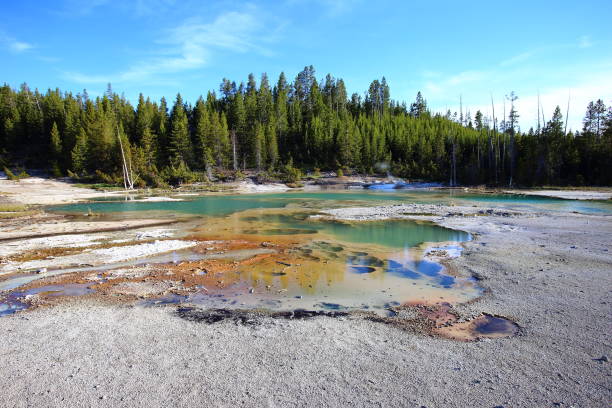 norris geyser basin norris geyser basin in yellowstone national park norris geyser basin photos stock pictures, royalty-free photos & images