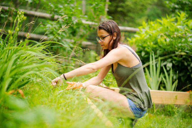 15-years-old teenager girl gardening at the backyard, cutting the weeds at the flower bed - teenager 14 15 years 13 14 years cheerful imagens e fotografias de stock