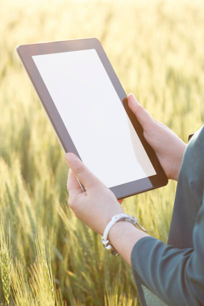 istock Business woman using digital tablet in the field 810372740