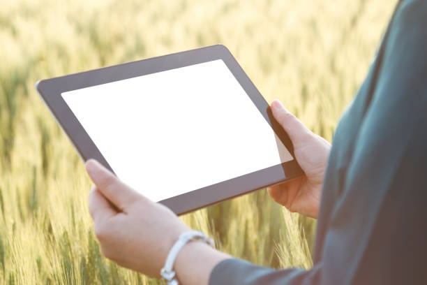 istock Business woman using digital tablet in the field 810372752