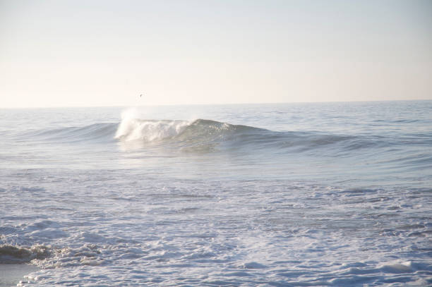 Morning Surf and Waves along the  Pacific Ocean , Malibu, California.