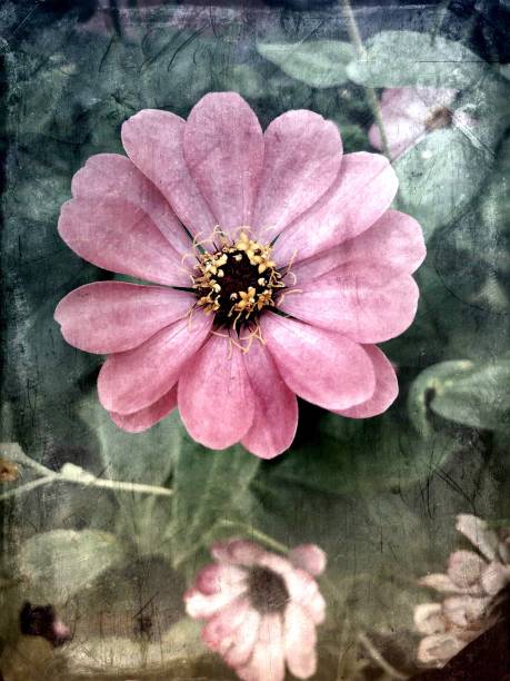 istock Grungy flowers and foliage 810402586