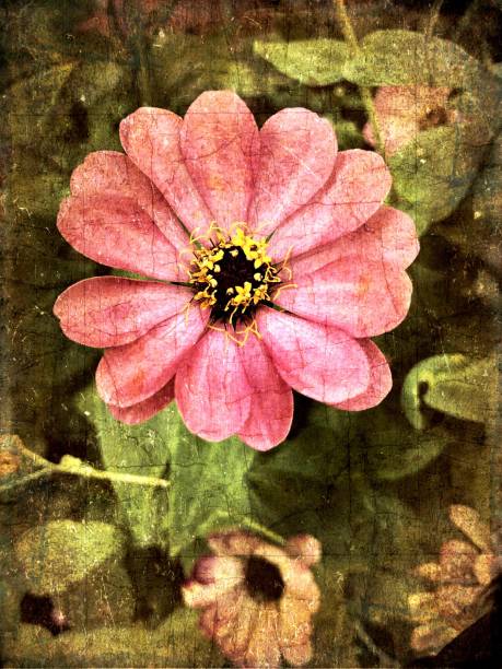istock Grungy flowers and foliage 810402618