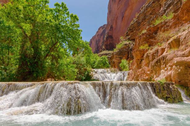 Havasupai Arizona Beaver Falls havasu falls stock pictures, royalty-free photos & images