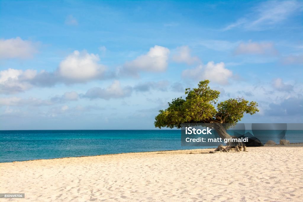 Aruba Aruba - Eagle Beach Aruba Beach Stock Photo