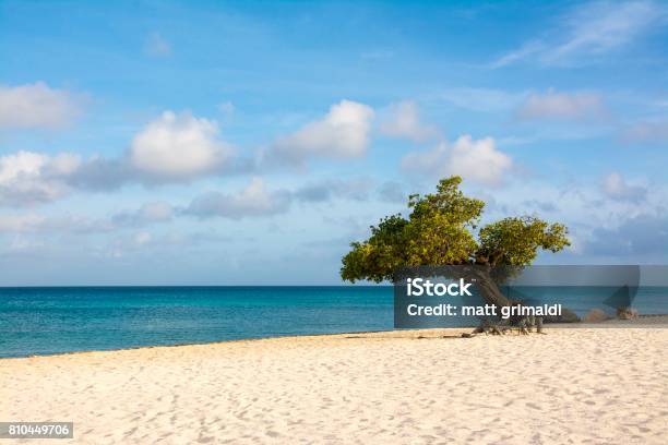 Aruba Stock Photo - Download Image Now - Aruba Beach, Arikok National Park, Aruba
