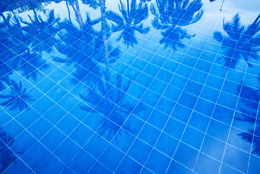 Reflection of palm trees over swimming pool