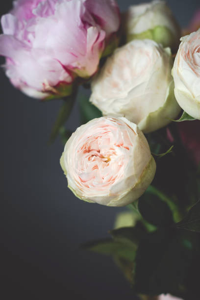 istock Peonies and pink roses bouquet on black background 810485696