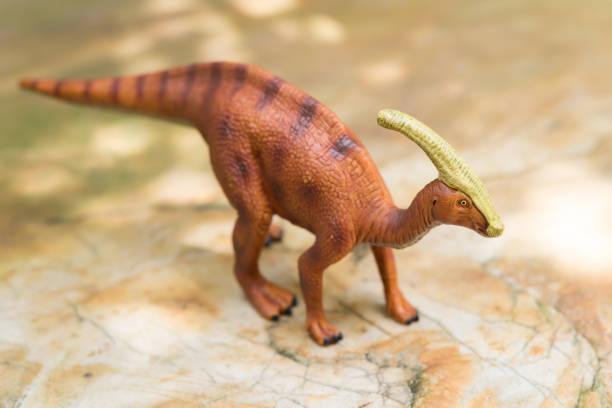 istock Parasaurolophus toy on rock 810509230