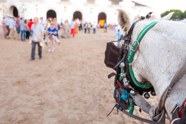 El Rocio, Spain - June 4, 2017: Andalusian horse in El Rocio during the Romeria 2017. Province of Huelva, Almonte, Andalusia, Spain