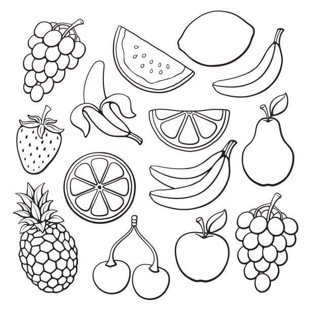 Doodles set of fruits and berries Vector illustration. Set of farm and tropical fruits and berries. Hand drawn doodles. Healthy vegetarian food. Decoration for menus, signboards, showcases, greeting cards, posters, wallpapers banana drawings stock illustrations