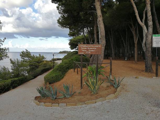 istock Ogliastro Marina - Nature Trail 810529476