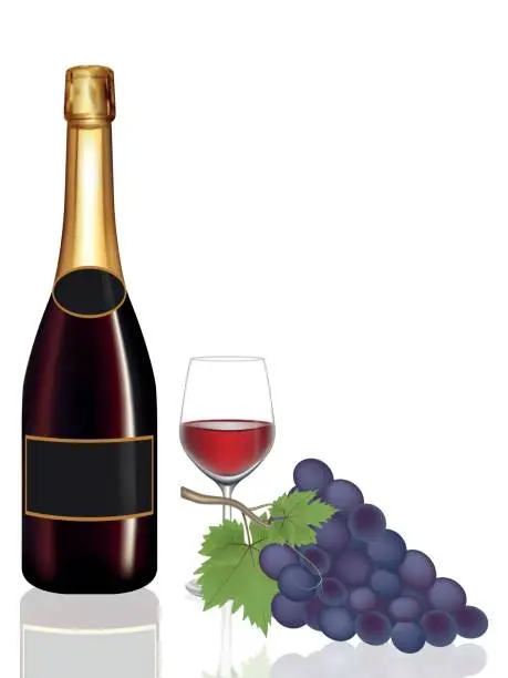 Vector illustration of Open Champagne bottle Drak Red and Two champagne glass on white