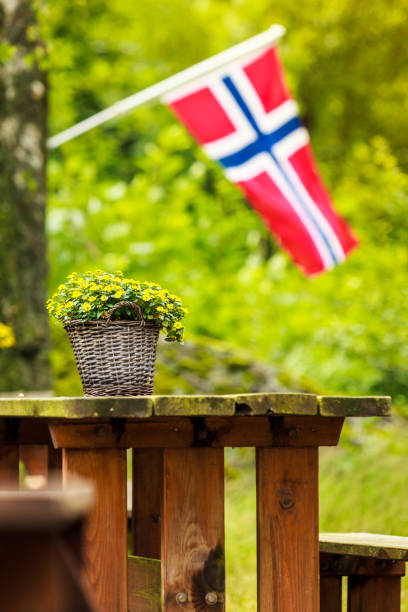 istock norwegian flag and green picnic site 810543022