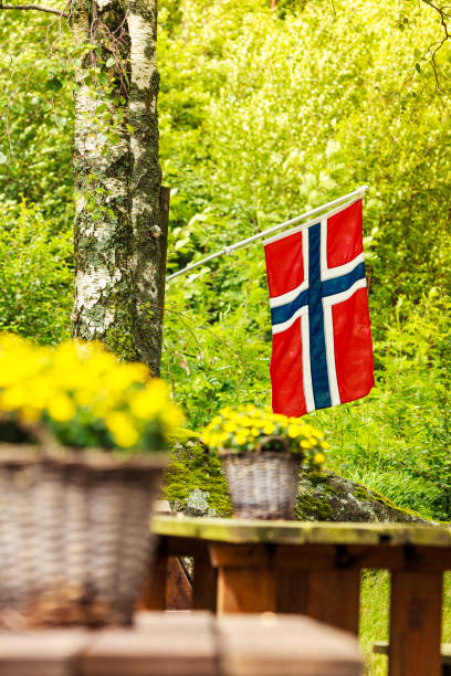 istock norwegian flag and green picnic site 810546282