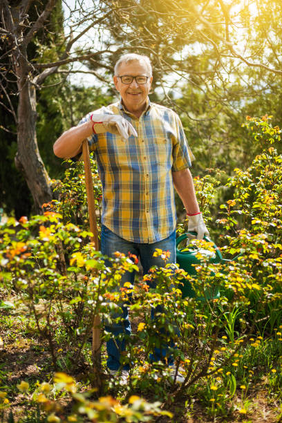 istock Senior man gardening 810546960