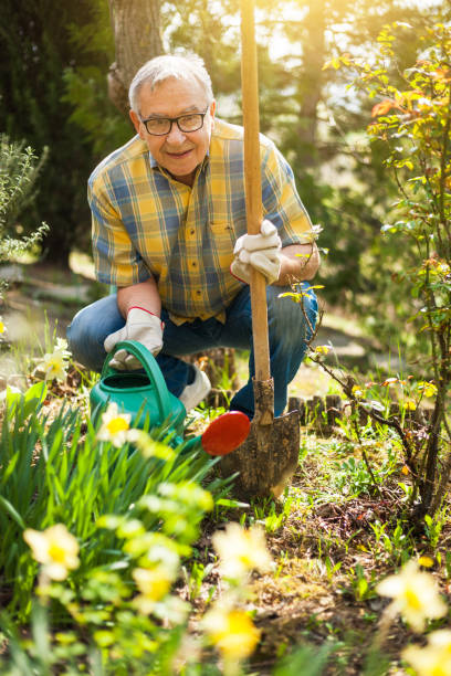 istock Senior man gardening 810547214