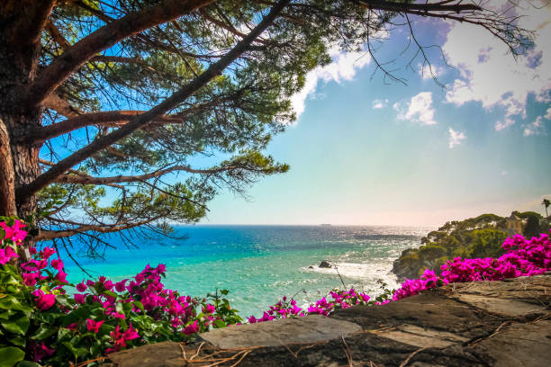istock Summertime landscape with flowers on wall and turquoise water. 810552412