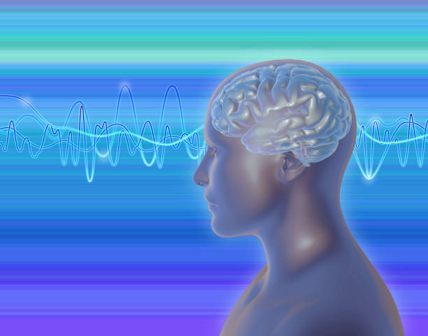 istock Neuro marketing and neuro sciece idea . Illustration with brain waves. 810552474