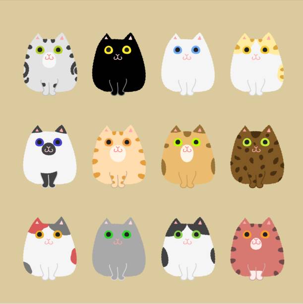 ilustrações, clipart, desenhos animados e ícones de gatos bonitos colorir variações - young animal characters clothing coat