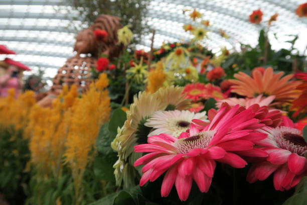Shades of orange