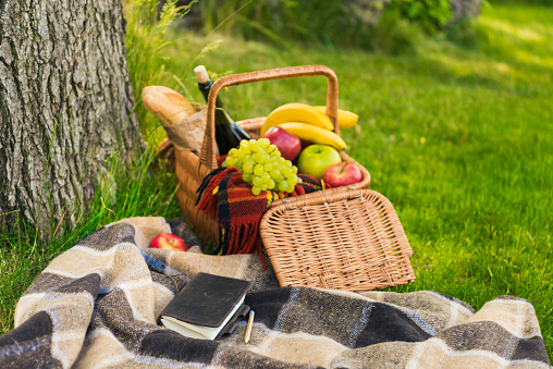 Wicker picnic basket with fruits and bottle of wine, notebook and pencil on plaid in park