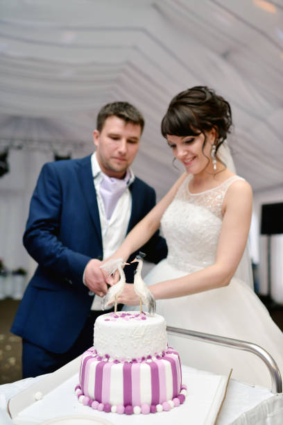istock Beauty bride and handsome groom are cutting a wedding cake 810564966