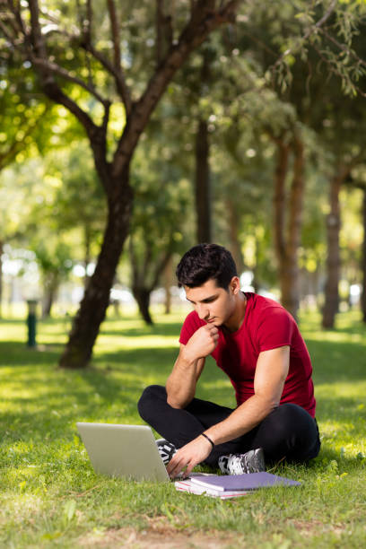 istock Teenage student working with laptop in park. 810565168