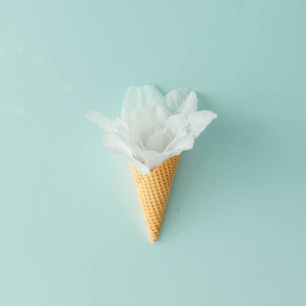 istock White flower in ice cream cone on pastel blue background. Flat lay. Summer tropical concept. 810575680