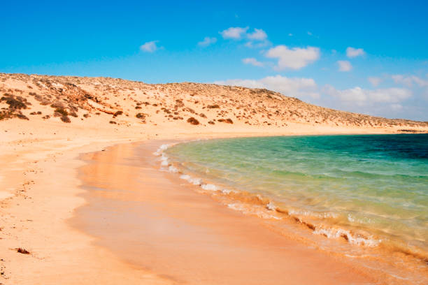 istock La Francesa Beach in La Graciosa, Canary Islands, Spain 810578810