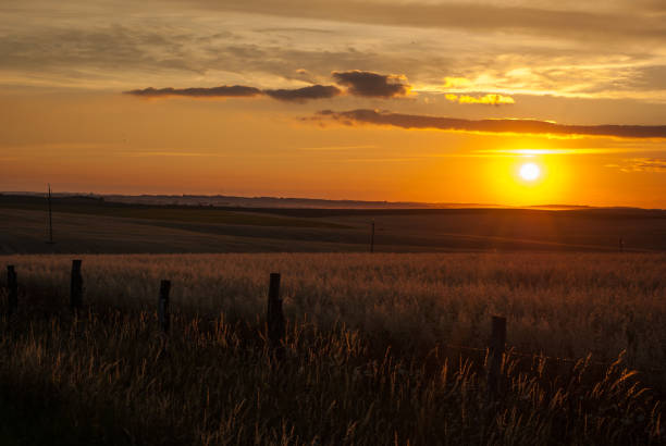 istock Beautiful sunset over the field. Yellow sky 810578968