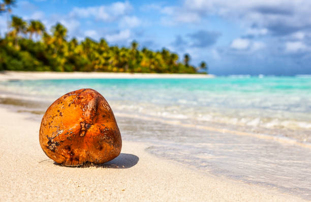 aitutaki lagoon in the cook islands south pacific - south pacific ocean island polynesia tropical climate imagens e fotografias de stock