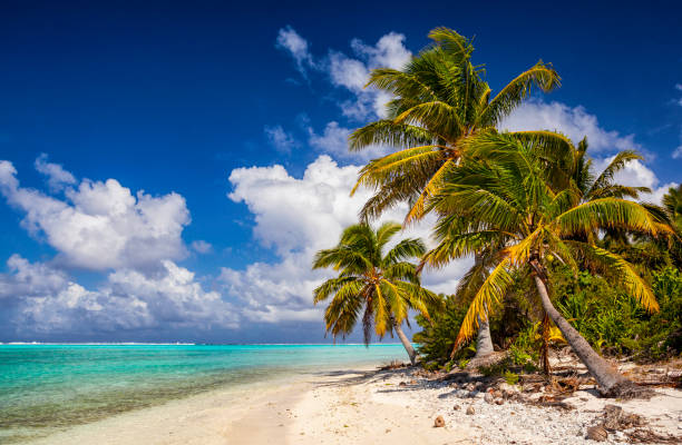 istock Aitutaki Lagoon In The Cook Islands South Pacific 810602736