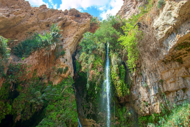 istock National Park Ein Gedi 810603112