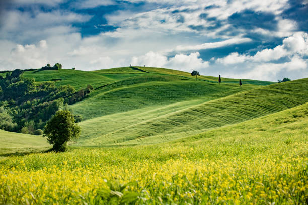 istock Sunny afternoon in Tuscany 810604088
