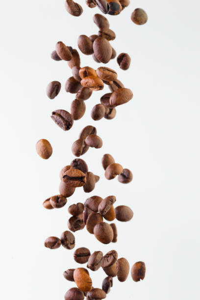 Grains of roasted coffee falling on white background, studio light