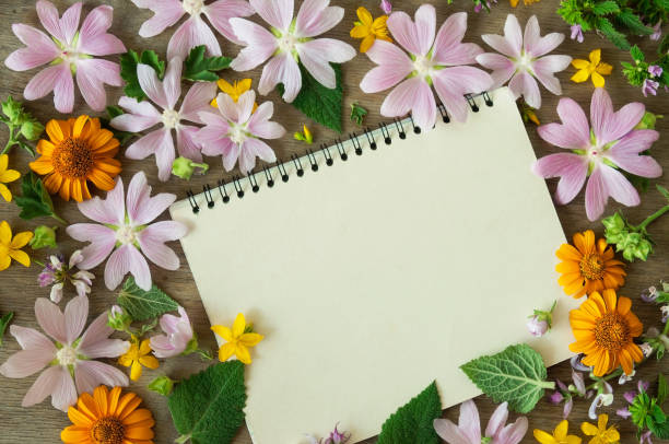istock field flowers on a wooden background. Space for text. 810634550