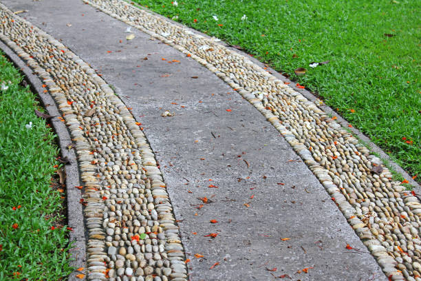 istock The Walk path in the park with green grass background. 810634934