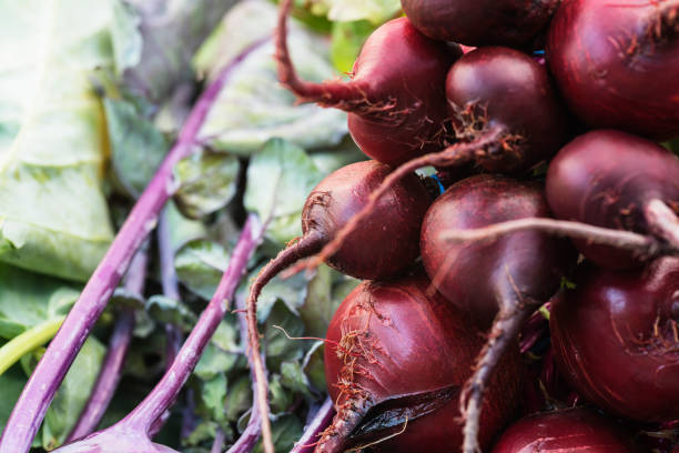 Fresh beet roots on sale