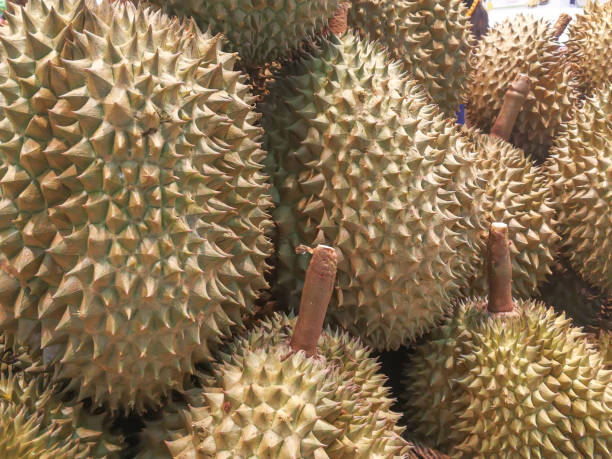 istock Durian in the market in Thai 810667576